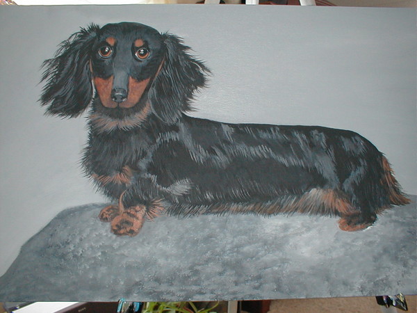 Best in Show 