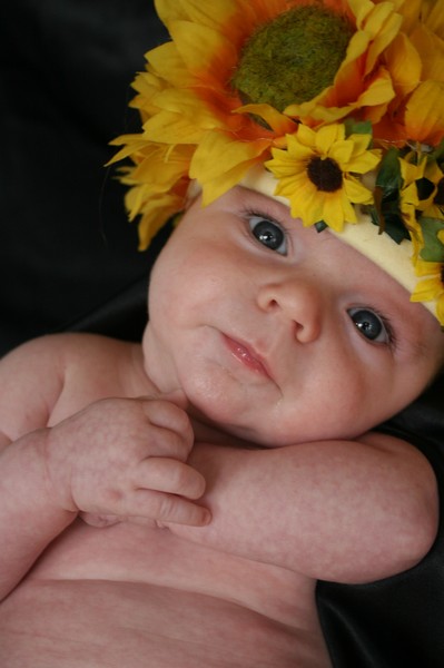 Little Sunflower