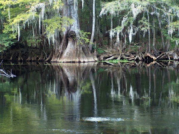 Ginny Springs Florida