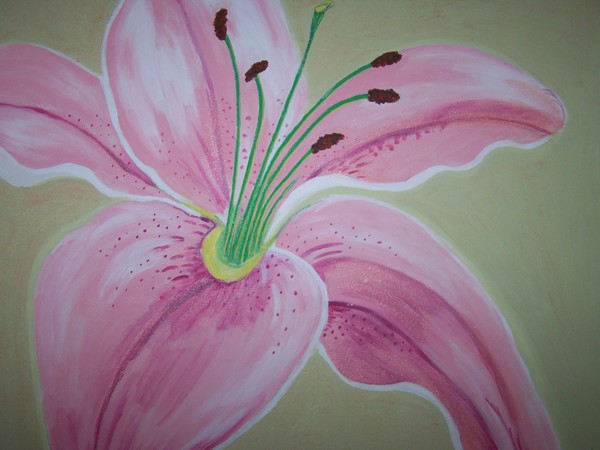 Tiger Lilly