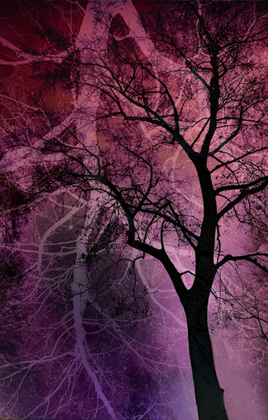 Dreamwood