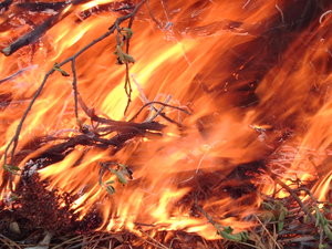 painting in a blaze