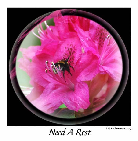 Needing a rest