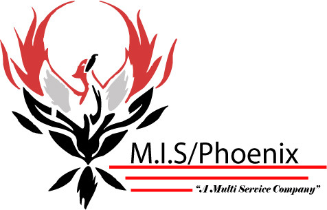M.I.S The Phoenix Group