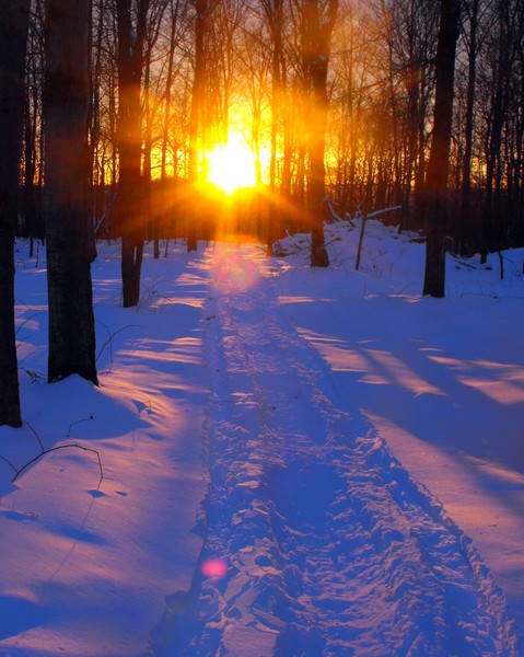 Sunset on Snowmobile Path