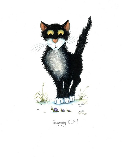 scaredy cat