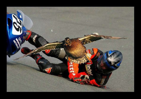 Crash..