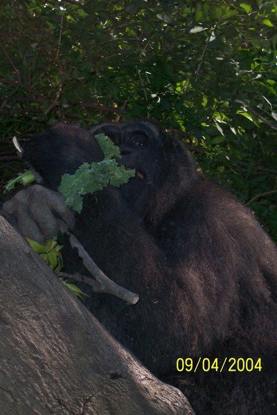 Lunch Time