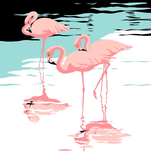 Three Pink Flamingos - Square Format