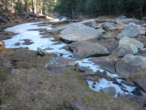 Creek Ice