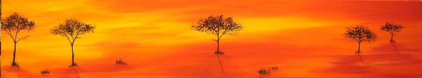 Acacia Sunset