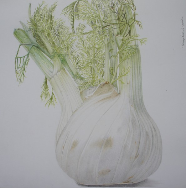 Fennel