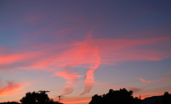 SAILORS DELIGHT, TWO NITES IN A ROW!
