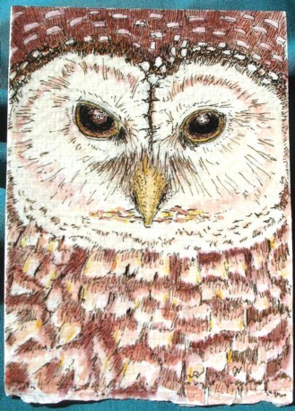 Owl