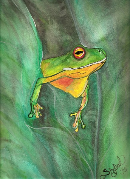Feelin' Froggy