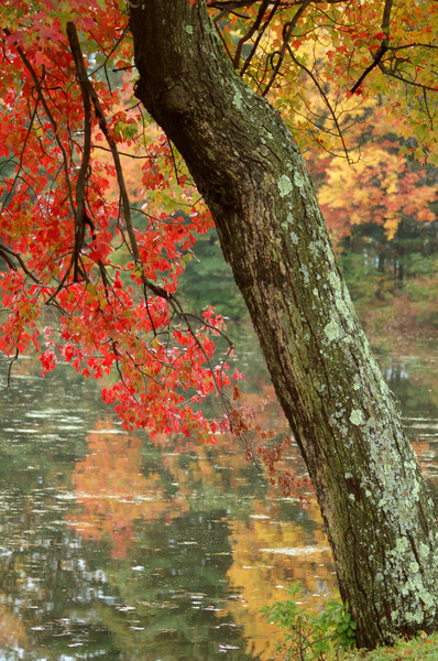 Fall in New England