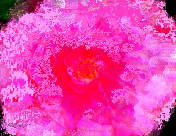 Camelia on Ice