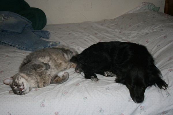 Grayson & Blacky
