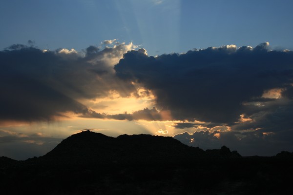 Good Day Sunshine  #3