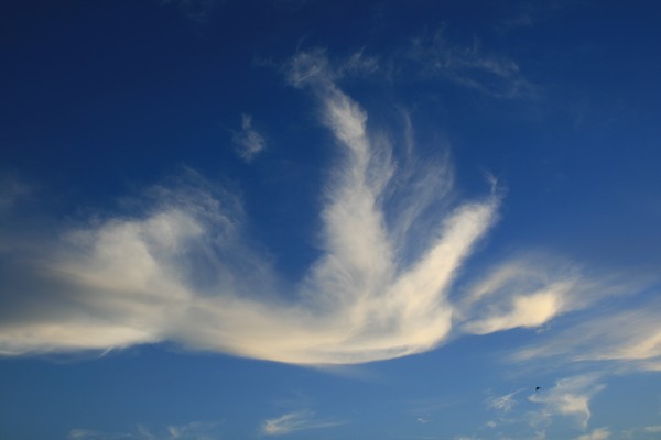 Angel Sky