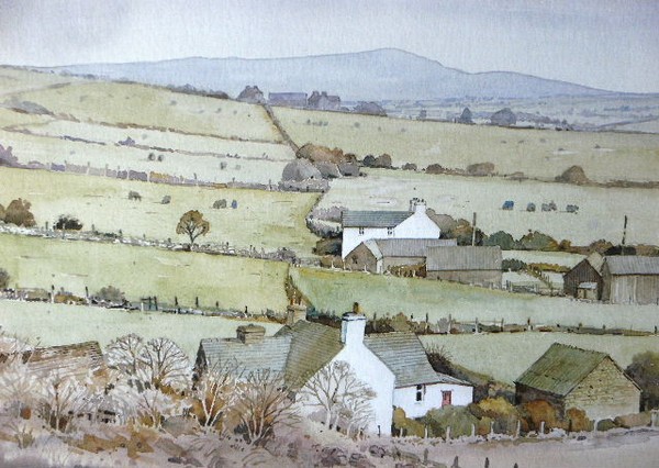 Farms below Carn Llidi 