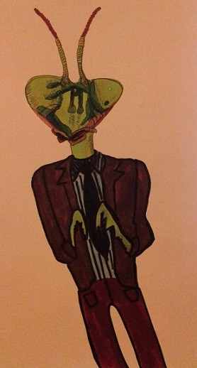 Praying Mantis for T.C