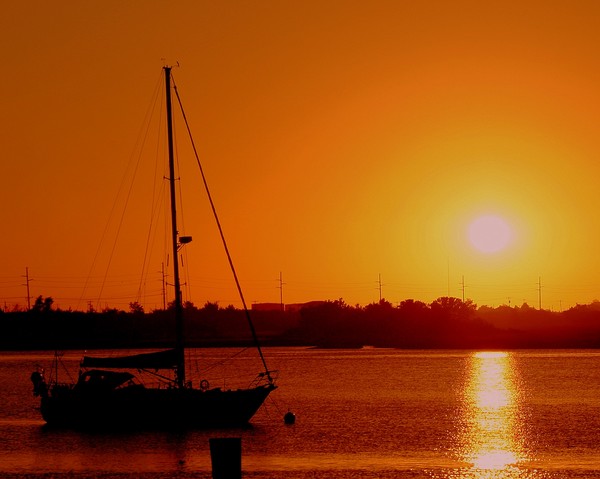 Evening Light