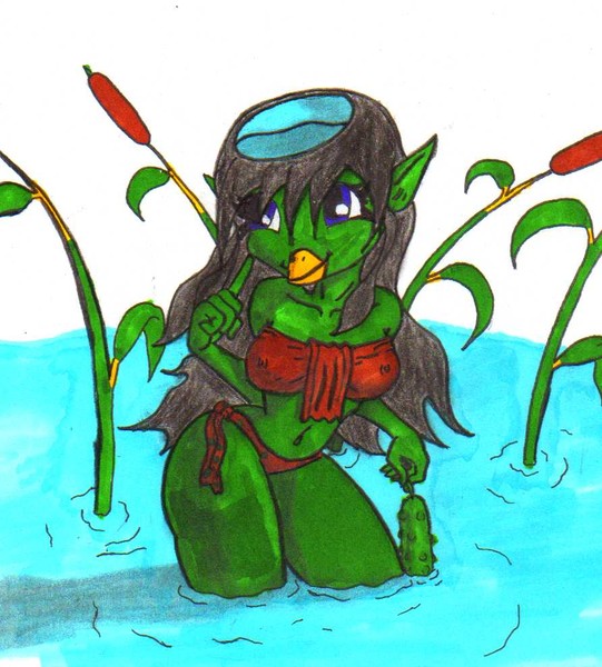 a kappa and her cucumber