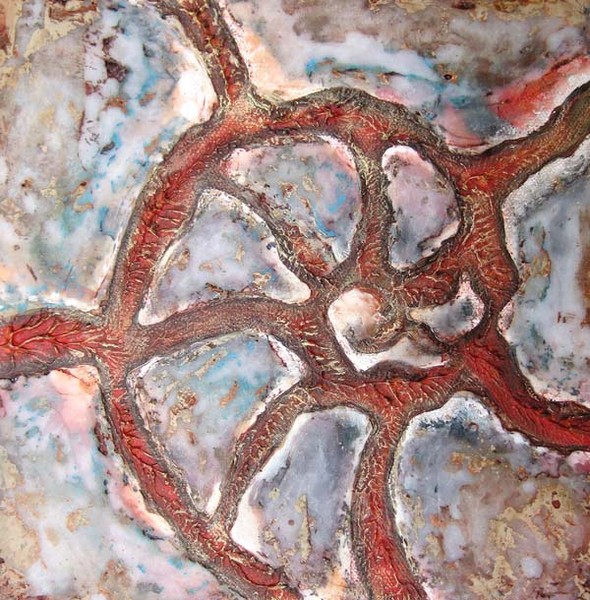 Amnmonite Cross Section # 7
