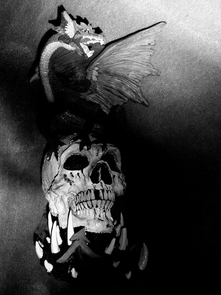 SKULL DRAGON [revisited]
