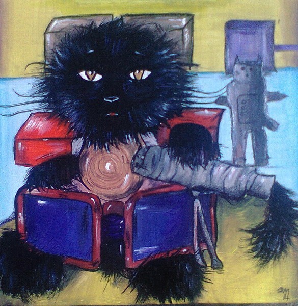 Cuboid Cat and the Cat Telescope