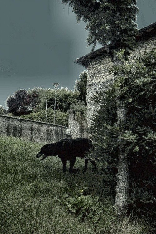 la notte a  Monte  Calvo 7