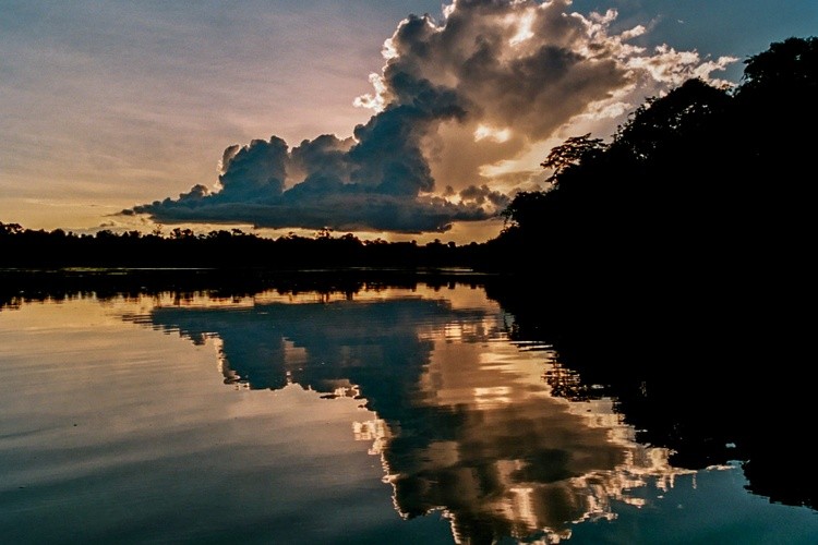 Amazon Sunset