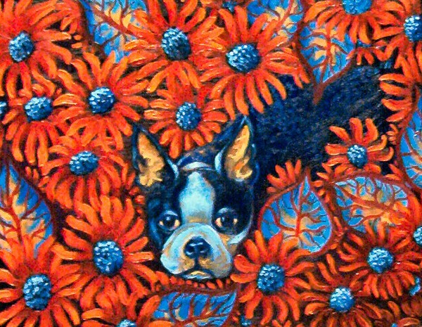Bodacious Blossoms and a Blue Boston