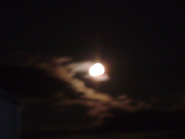 Harvest Moon