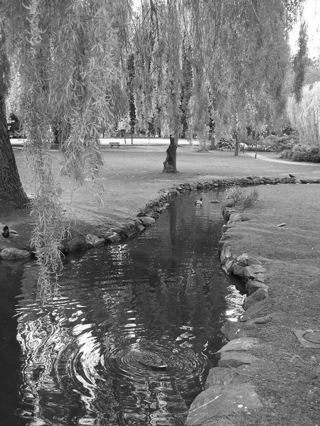 water flows