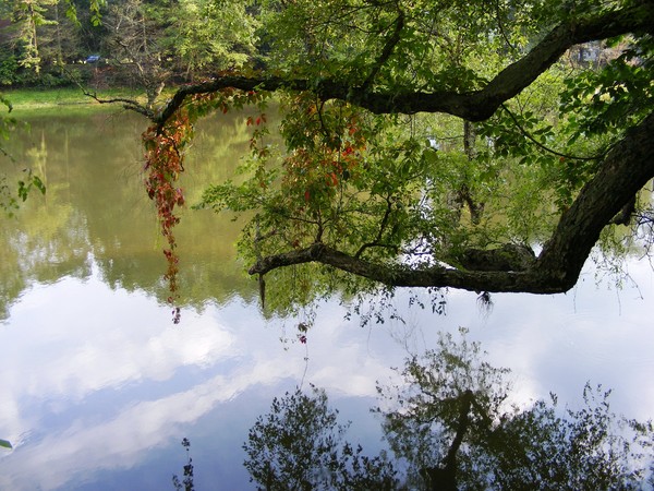 Greenbriar River, West Virginia (Photo)