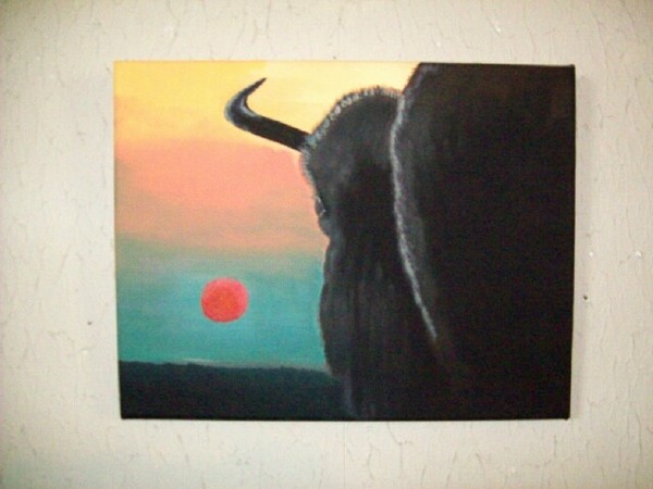Buffalo Sunset