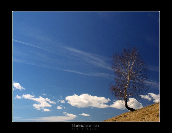 Alone in the sky