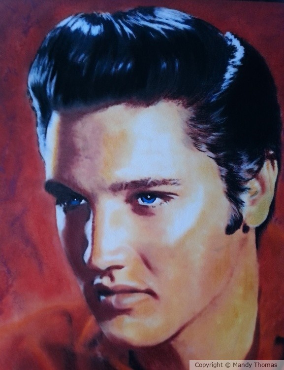 Elvis by Mandy Thomas