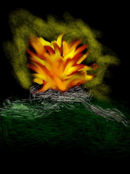 Campfire