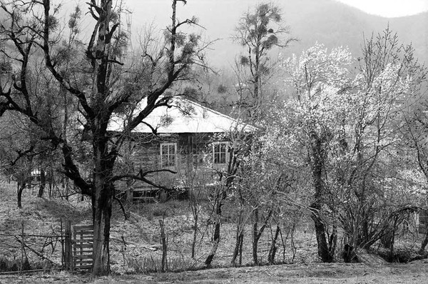 Country house