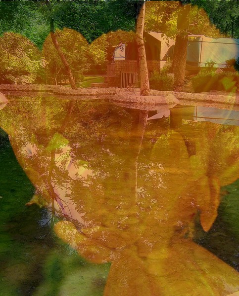 inner nature