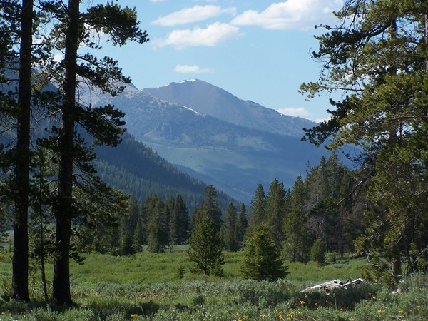 Idaho Summer