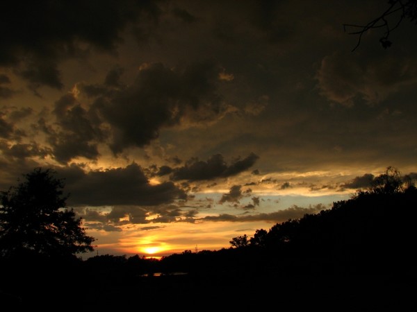 Bronze sunset