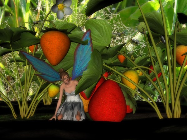 Strawberry fairy