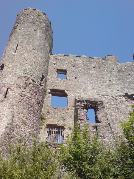 Sky Windows