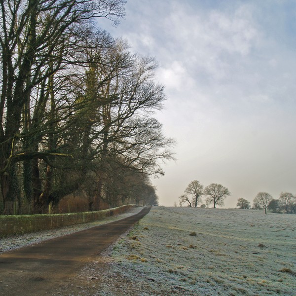 The Lane to Weardley
