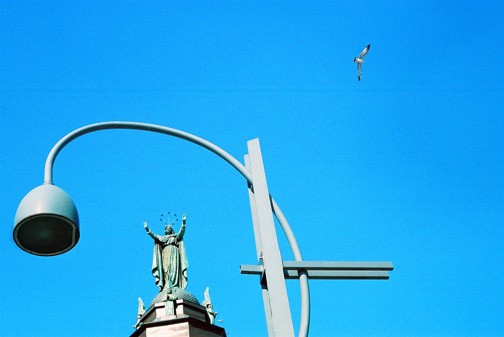 Pray for Bird