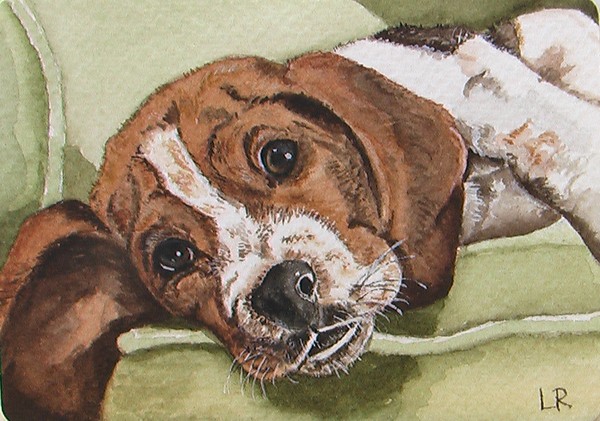 Dog Day Afternoon